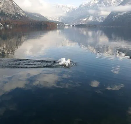 Fallnhauser - Adults Only Apartamento Hallstatt