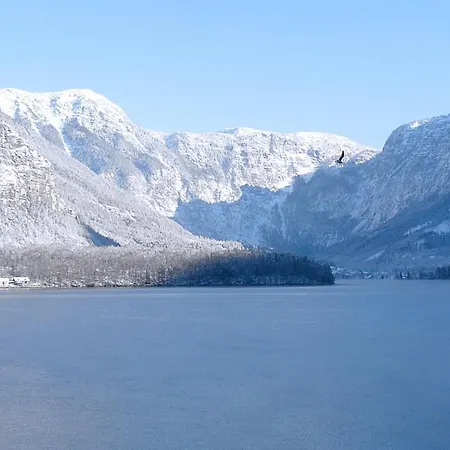 Fallnhauser * Hallstatt