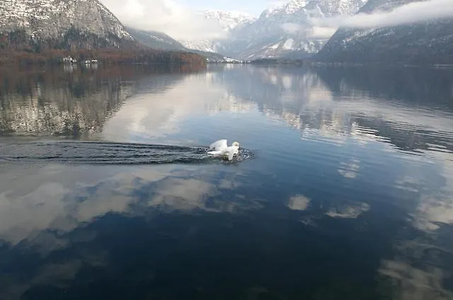 Fallnhauser - Adults Only Appartamento Hallstatt